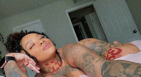 hurricane tori Profilbild