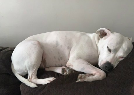 queenbracee Neuer OnlyFans Leak