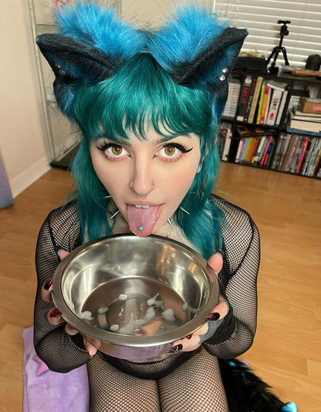 purrrvee OnlyFans-Bilder