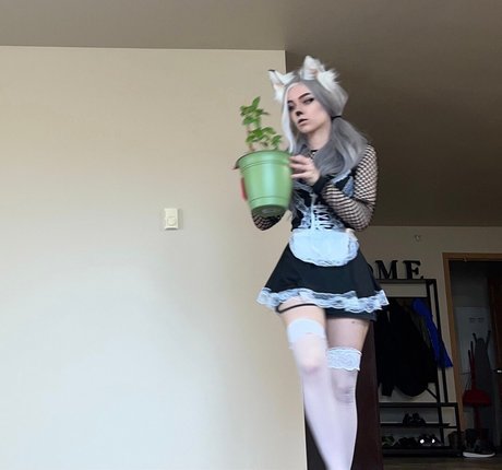 Awkspew roo2 OnlyFans Model Bilder