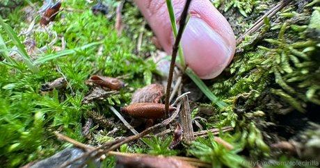 solecirilla Kostenloses OnlyFans