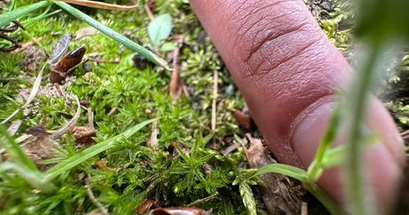 solecirilla OnlyFans Fotos