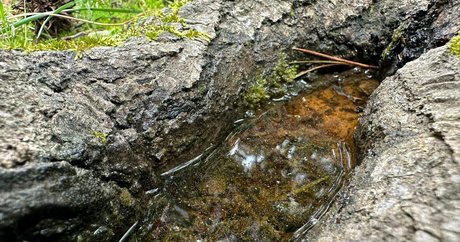 solecirilla OnlyFans Leak