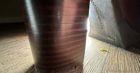 solecirilla OnlyFans Nackt Leak