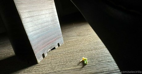 solecirilla Profilbild