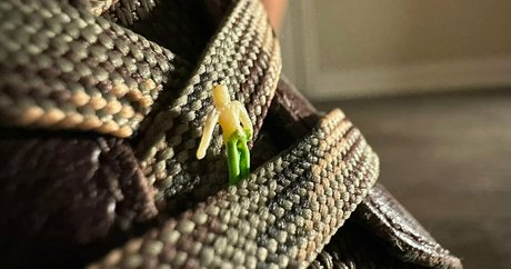 solecirilla Nacktbilder von OnlyFans geleakt