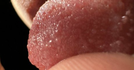 sperma schlucken nur fans Aktbilder Beitrag