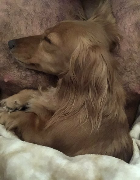 chadwhitexxxfree Neue OnlyFans Leaks