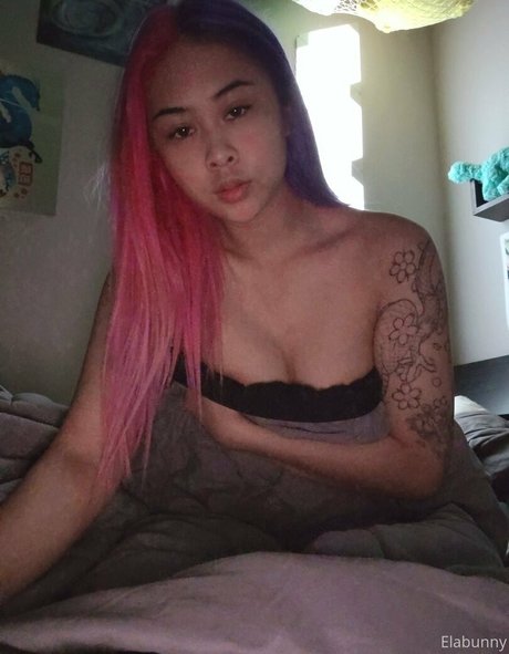 elabunny OnlyFans-Pornos