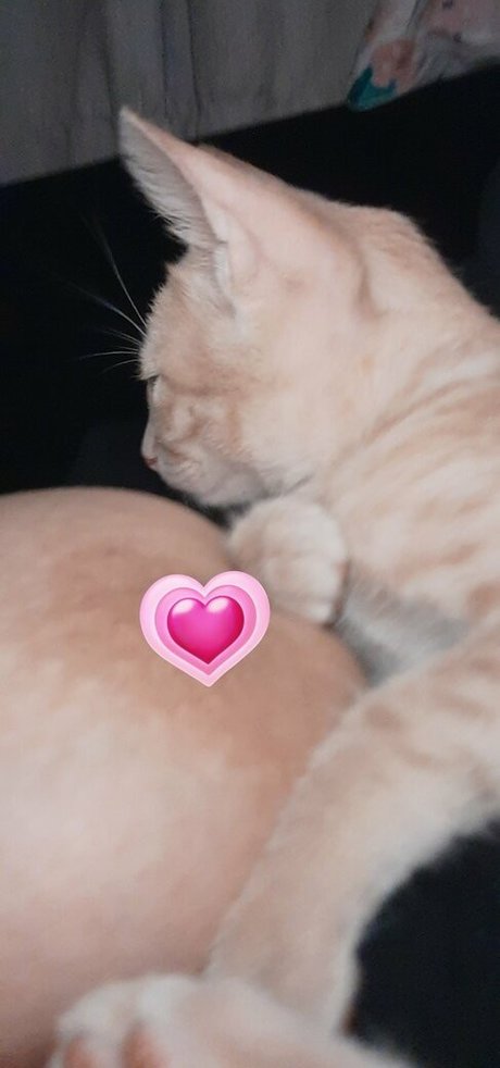 Jadeackerman OnlyFans geleakt