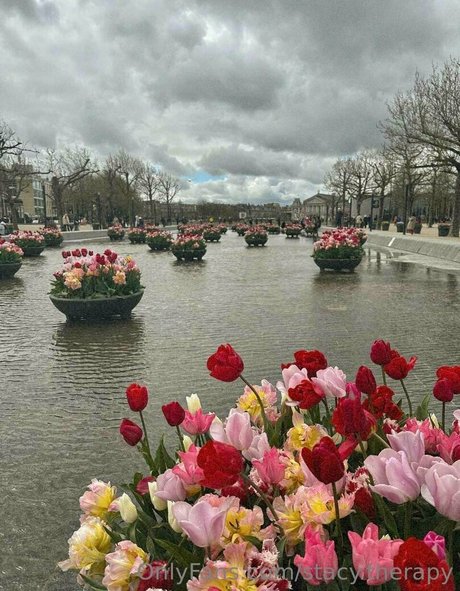 stacy therapy OnlyFans Porno