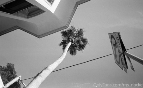 ms nacke OnlyFans