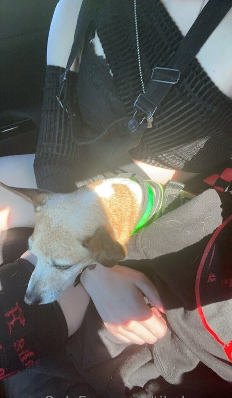 tikalovexo Leaked Porn OnlyFans