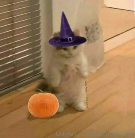 smoll n sweet 2k2 Po OnlyFans