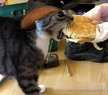 smoll n sweet 2k2 OnlyFans Nacktbilder