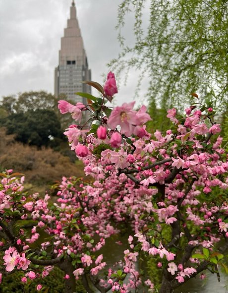 yosadthiccgirl Neue OnlyFans Leaks