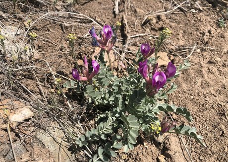 fitte blonde onlyfans exklusive Aufnahme