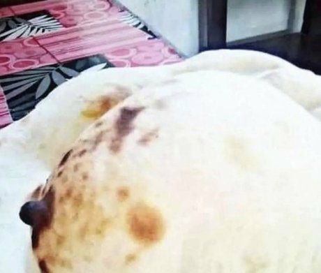 elitebbwplus OnlyFans explizite Inhalte