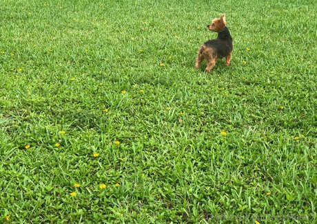 cindymoon7 Leaked OnlyFans Bilder