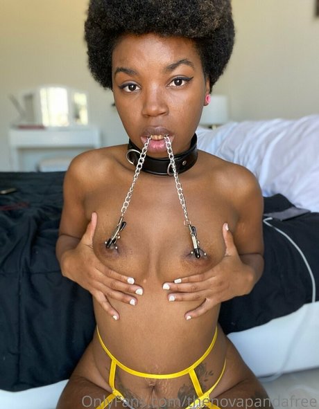 thenovapandafree OnlyFans Pornografie gratis