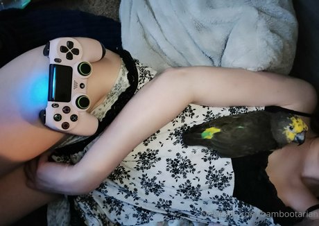 pandavision OnlyFans Sextape