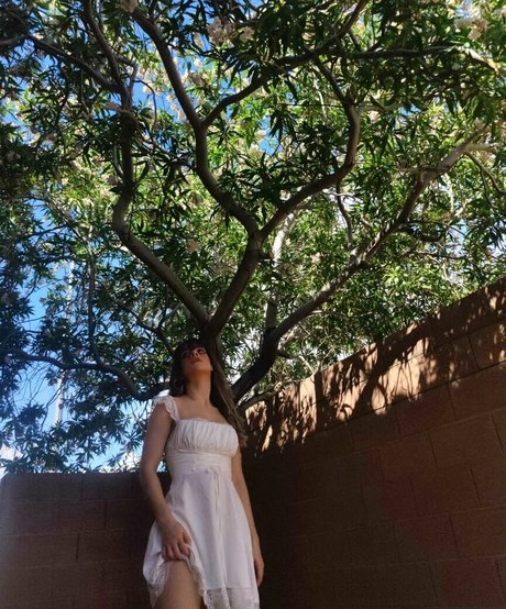 Lemonkiwi Leaked OnlyFans Bilder