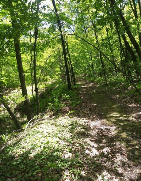 devilishdaisy Nacktbilder von OnlyFans