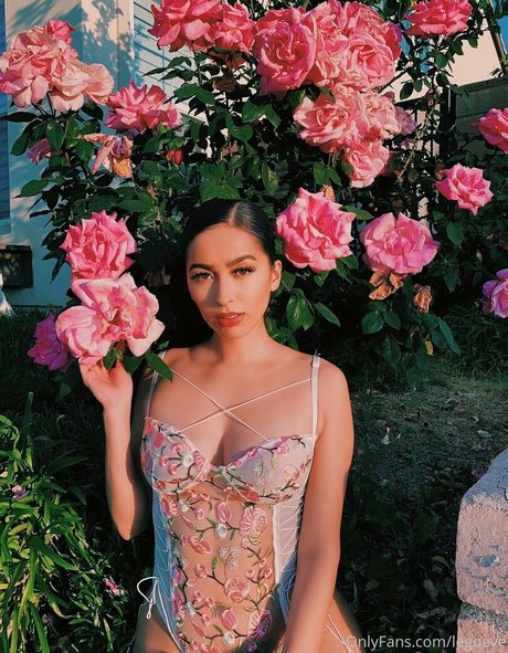 evalego2 Bilder OnlyFans