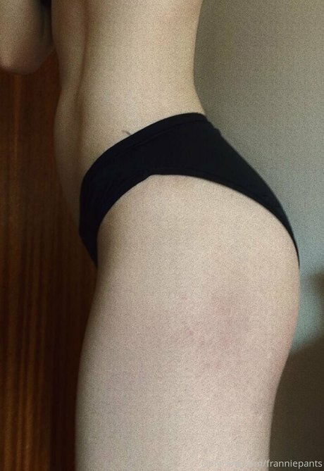 feedfrankiefree OnlyFans XXX