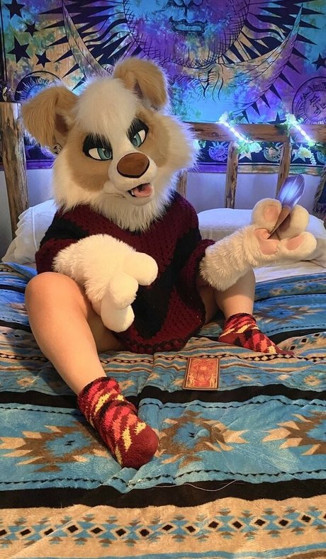 Murrsuit Nacktbilder OnlyFans Geleakt