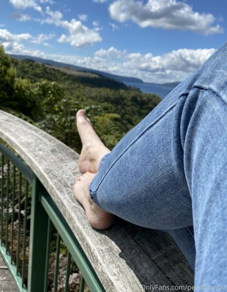 peachvanilla Model OnlyFans Foto