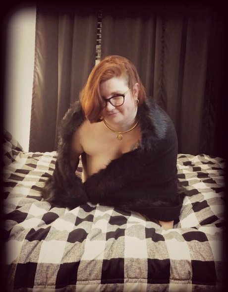 taylorpayn Profilbild