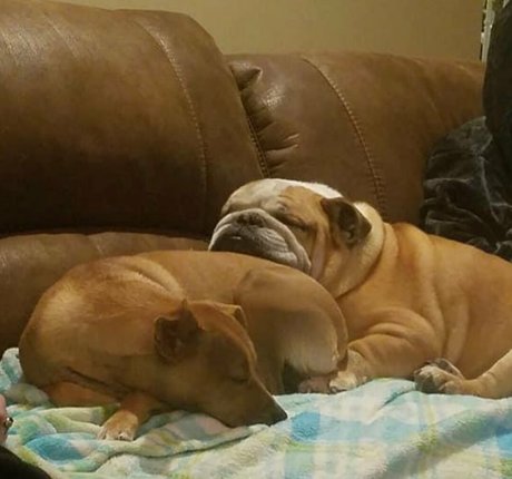 Courtney Craib OnlyFans Pornografie