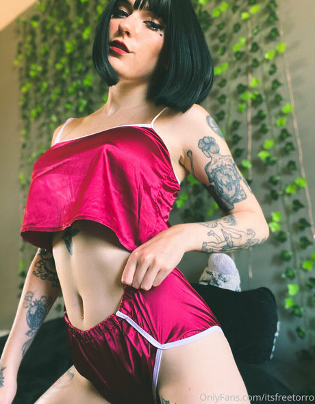 itsfreetorro OnlyFans-Bilder