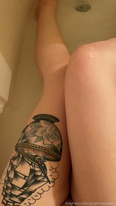 acoalminecanary OnlyFans Leaked