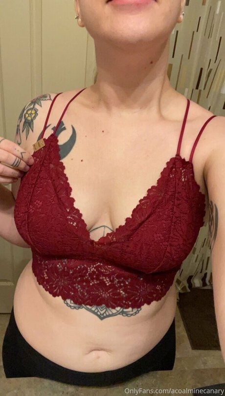 acoalminecanary Nacktbilder geleakt OnlyFans Aufgedeckt