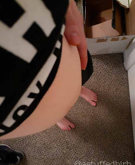 astuffedbirb Leaked OnlyFans Sex