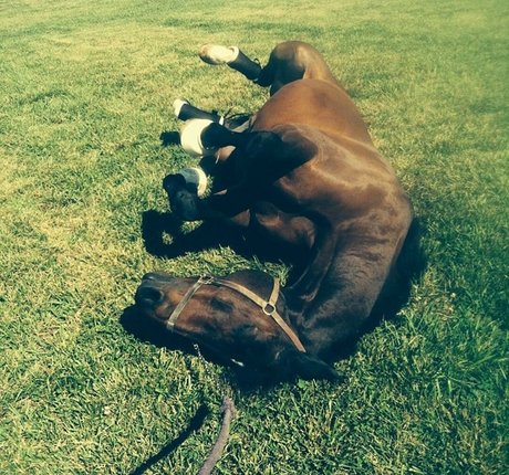 Ashton Hatchell OnlyFans Fick geleakt