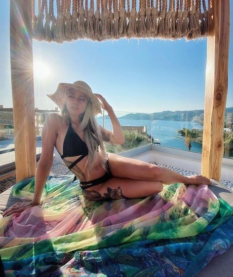 Farbenfuchs Profilbild