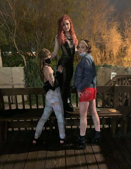 irresistible ivy Profilbild