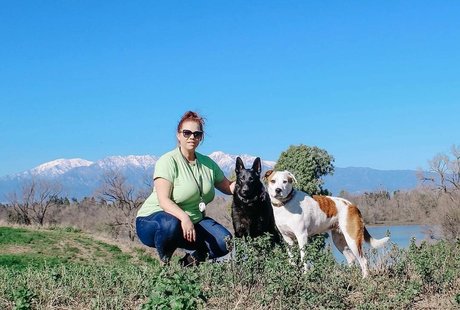 harter sex nur fans Pornografie Porträt