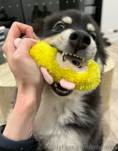 lollyfangs Kostenlose OnlyFans-Pornos