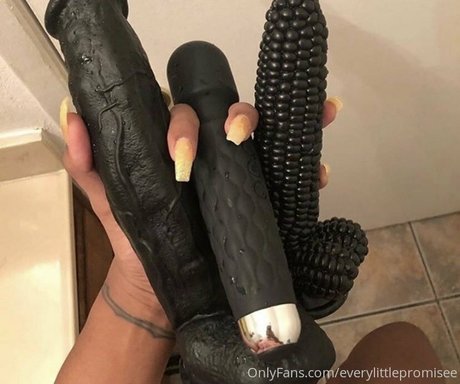 everylittlepromisee OnlyFans-Creator