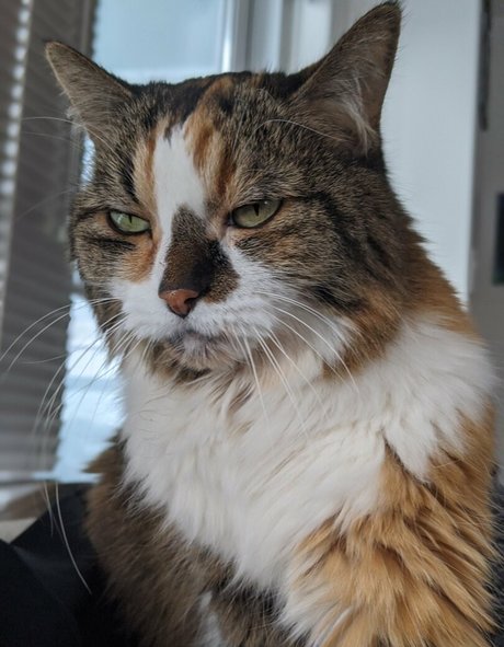 snoot Leaks von Nacktbildern auf OnlyFans