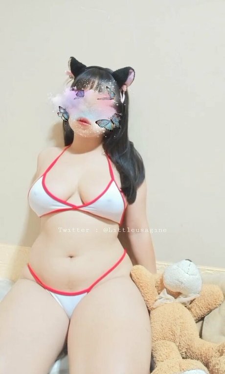 Littleusagine OnlyFans Nacktbilder