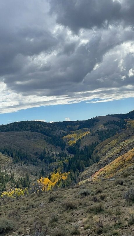 cheekz26 Nacktbilder geleakt OnlyFans Nacktporno