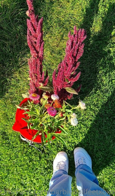 barbiedollfeetxoxofree Leaked OnlyFans Sex