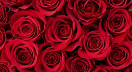 triple y XXX Leak OnlyFans