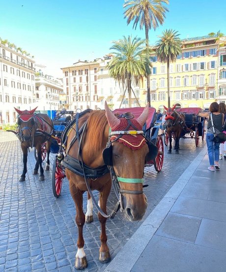 noaperetss Leaked OnlyFans Porn