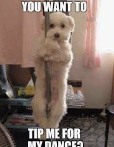 deonshea love Leaked OnlyFans Fotos